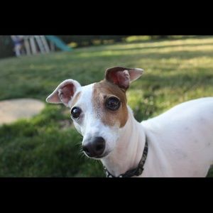 Meet your Posher, Alayna